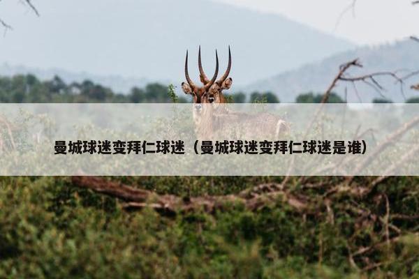 曼城球迷变拜仁球迷（曼城球迷变拜仁球迷是谁）