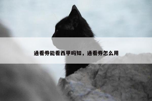 通看券能看西甲吗知，通看券怎么用