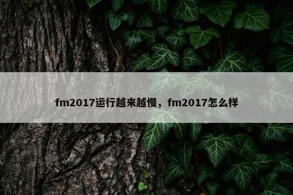 fm2017运行越来越慢，fm2017怎么样