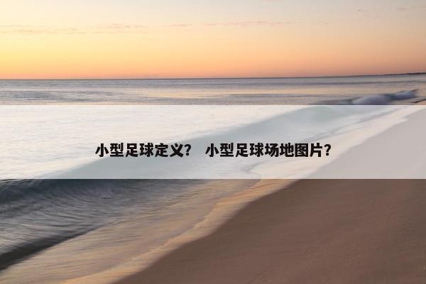 小型足球定义？ 小型足球场地图片？