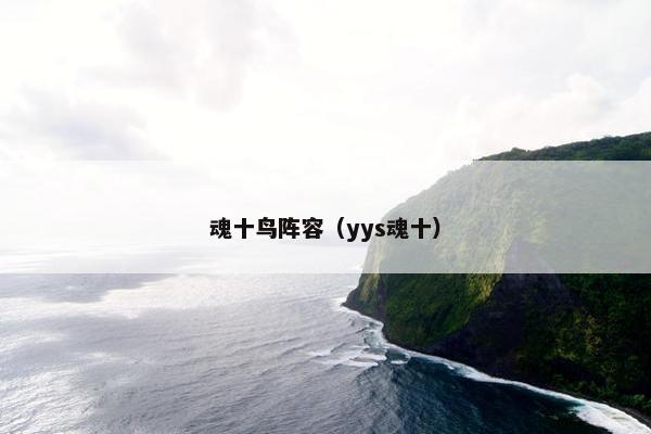 魂十鸟阵容（yys魂十）