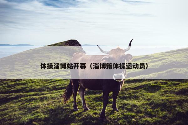 体操淄博站开幕（淄博籍体操运动员）