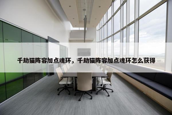 千劫猫阵容加点魂环，千劫猫阵容加点魂环怎么获得
