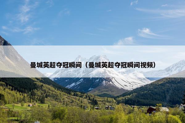 曼城英超夺冠瞬间（曼城英超夺冠瞬间视频）