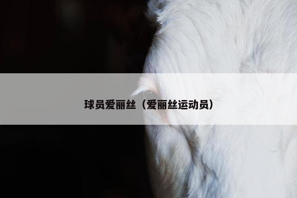 球员爱丽丝（爱丽丝运动员）