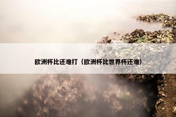 欧洲杯比还难打（欧洲杯比世界杯还难）
