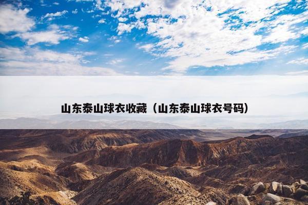 山东泰山球衣收藏（山东泰山球衣号码）