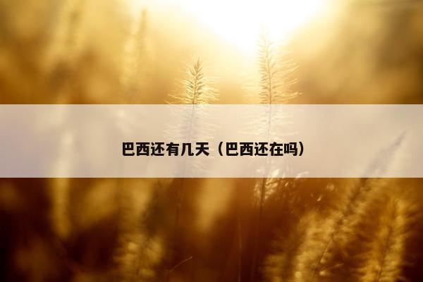 巴西还有几天（巴西还在吗）