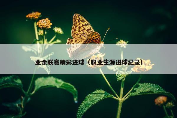 业余联赛精彩进球（职业生涯进球纪录）
