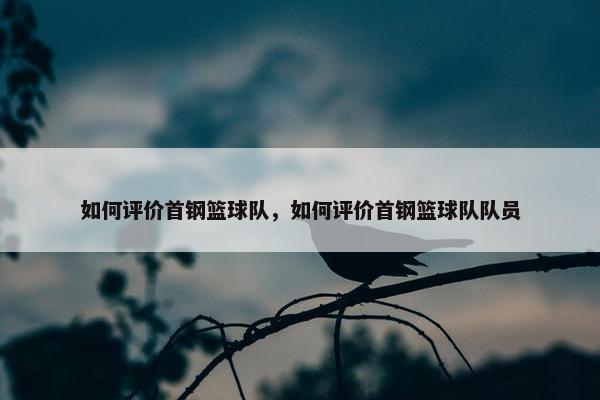 如何评价首钢篮球队，如何评价首钢篮球队队员