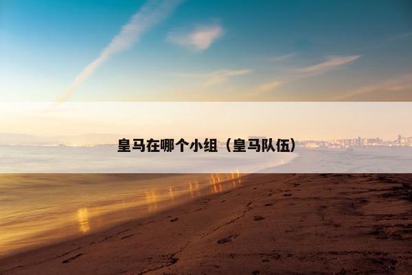 皇马在哪个小组（皇马队伍）