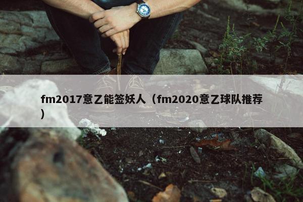 fm2017意乙能签妖人（fm2020意乙球队推荐）