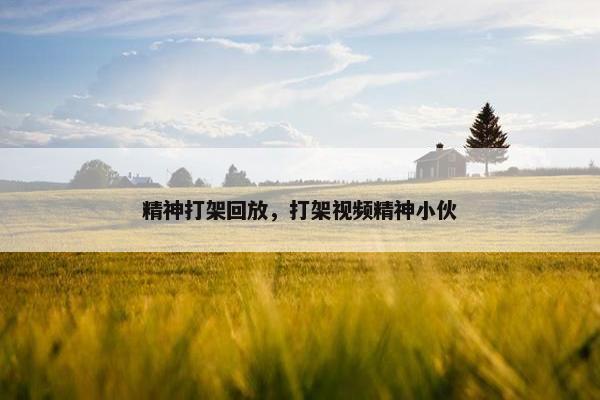 精神打架回放，打架视频精神小伙
