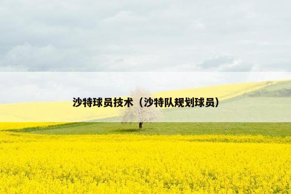 沙特球员技术（沙特队规划球员）