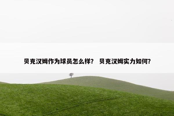 贝克汉姆作为球员怎么样？ 贝克汉姆实力如何？