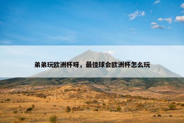 弟弟玩欧洲杯呀，最佳球会欧洲杯怎么玩