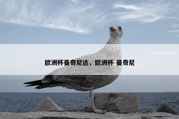 欧洲杯曼奇尼达，欧洲杯 曼奇尼
