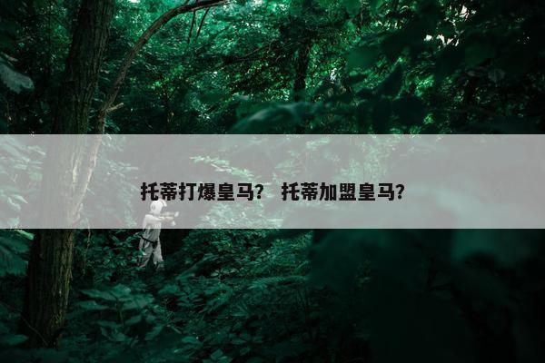 托蒂打爆皇马？ 托蒂加盟皇马？