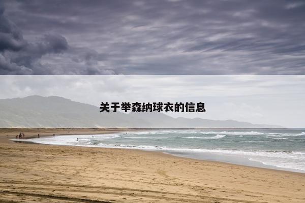 关于举森纳球衣的信息