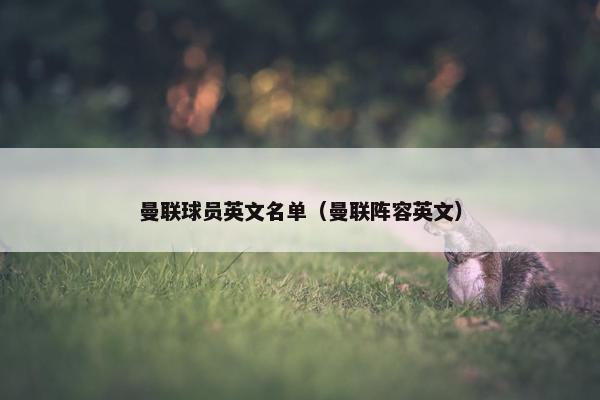 曼联球员英文名单（曼联阵容英文）