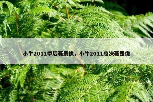 小牛2011季后赛录像，小牛2011总决赛录像