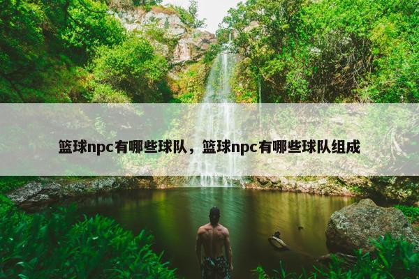 篮球npc有哪些球队，篮球npc有哪些球队组成