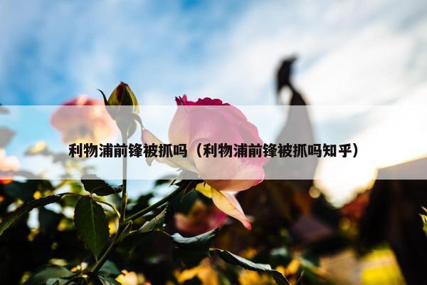 利物浦前锋被抓吗（利物浦前锋被抓吗知乎）