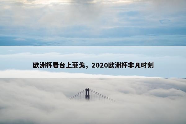 欧洲杯看台上菲戈，2020欧洲杯非凡时刻