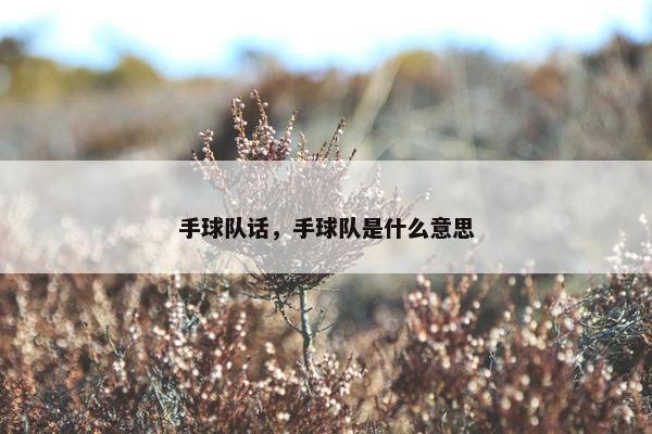 手球队话，手球队是什么意思