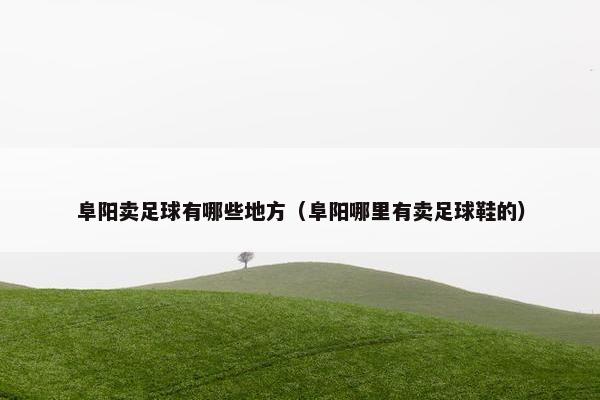 阜阳卖足球有哪些地方（阜阳哪里有卖足球鞋的）
