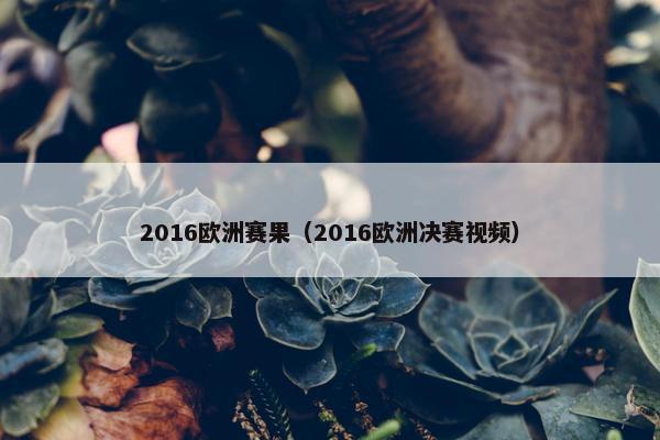 2016欧洲赛果（2016欧洲决赛视频）