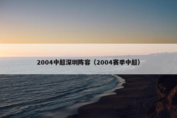 2004中超深圳阵容（2004赛季中超）