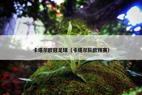 卡塔尔欧冠足球（卡塔尔队欧预赛）