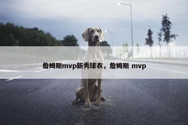 詹姆斯mvp新秀球衣，詹姆斯 mvp