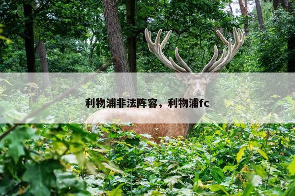 利物浦非法阵容，利物浦fc