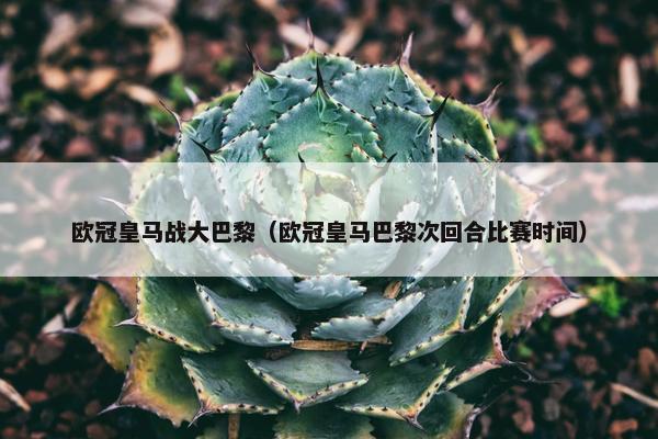欧冠皇马战大巴黎（欧冠皇马巴黎次回合比赛时间）