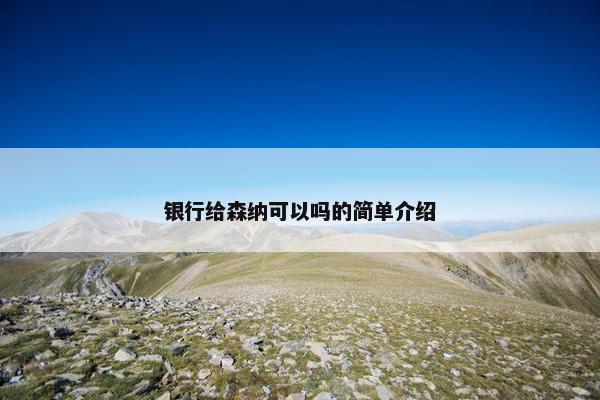 银行给森纳可以吗的简单介绍