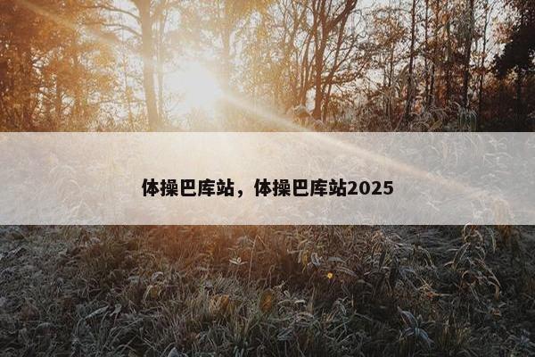 体操巴库站，体操巴库站2025