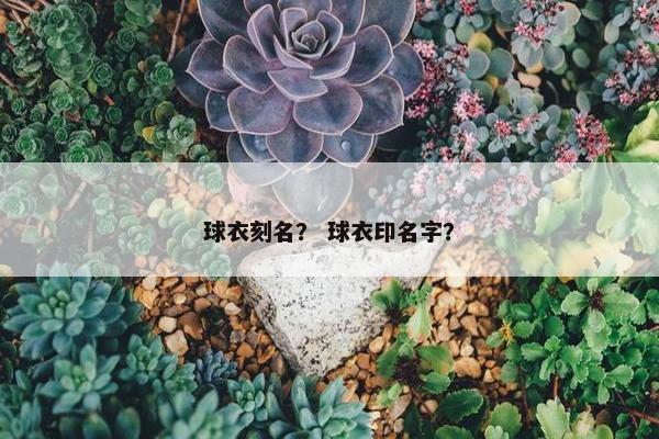 球衣刻名？ 球衣印名字？