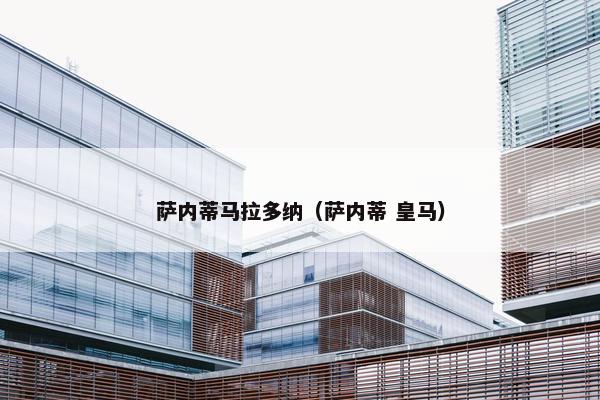 萨内蒂马拉多纳（萨内蒂 皇马）