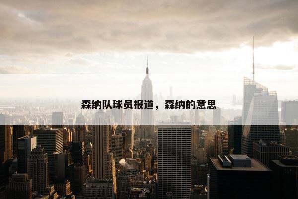 森纳队球员报道，森纳的意思