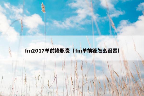 fm2017单前锋职责（fm单前锋怎么设置）