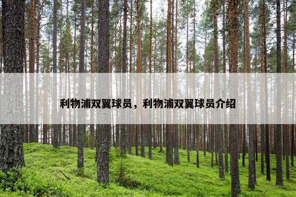 利物浦双翼球员，利物浦双翼球员介绍