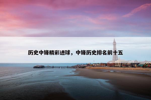 历史中锋精彩进球，中锋历史排名前十五
