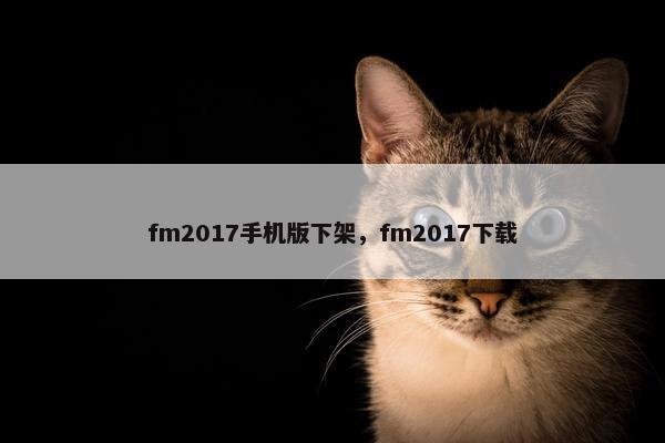 fm2017手机版下架，fm2017下载