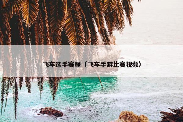 飞车选手赛程（飞车手游比赛视频）