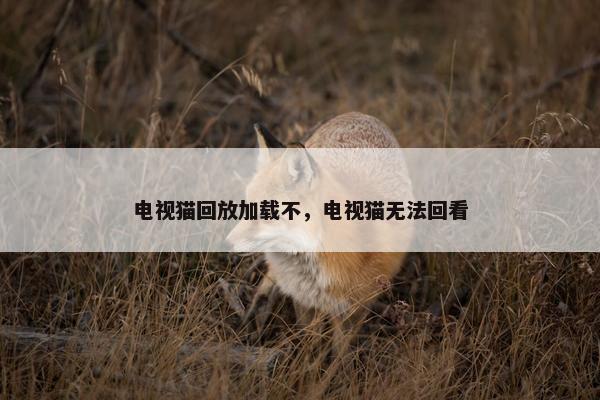 电视猫回放加载不，电视猫无法回看