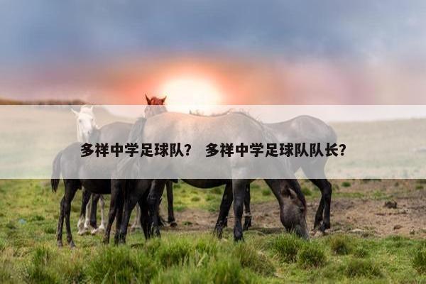 多祥中学足球队？ 多祥中学足球队队长？