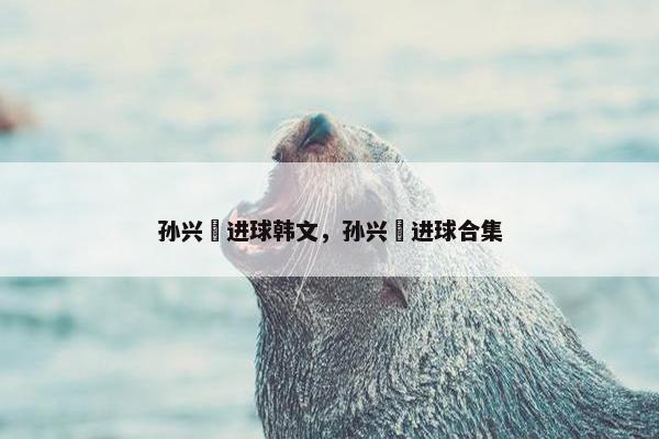孙兴慜进球韩文，孙兴慜进球合集