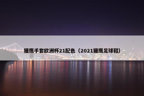 猎鹰手套欧洲杯21配色（2021猎鹰足球鞋）